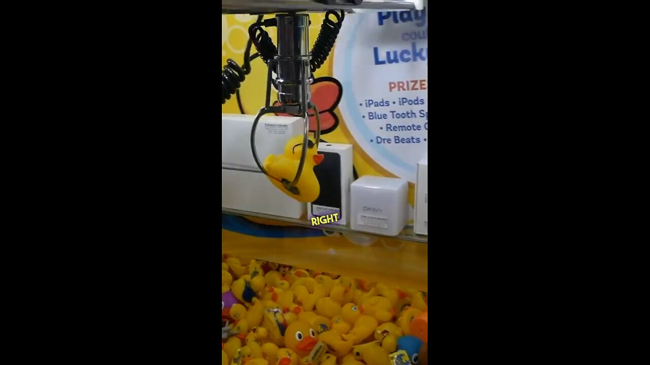 Lucky Duck Machine! 🐣