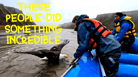The story of the eagle's rescue is a reminder that even the strongest wings sometimes need help!!!