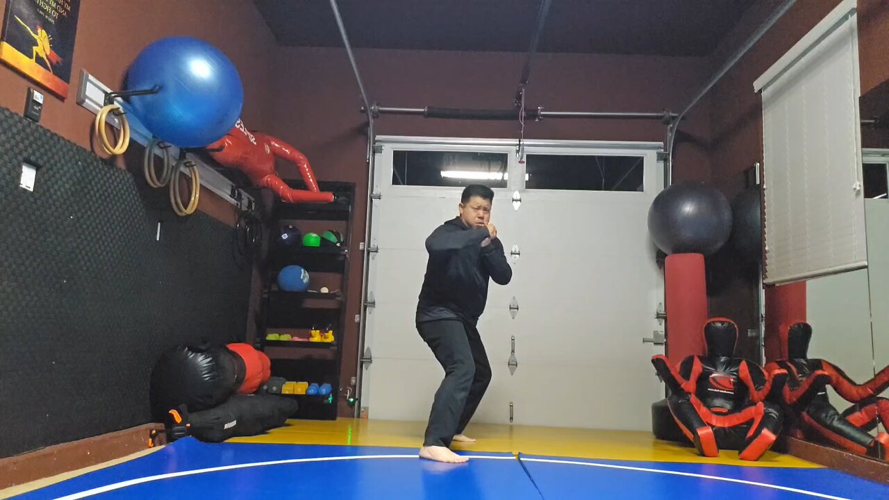 WTD Rear Hook Kick to Side Kick sequential