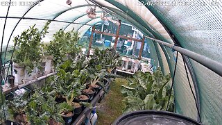 Greenhouse 1 Timeplapse Ending 22-08-2025