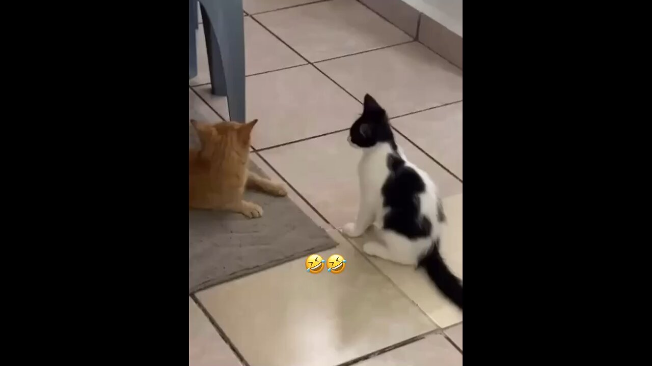 When the plan fails😂
