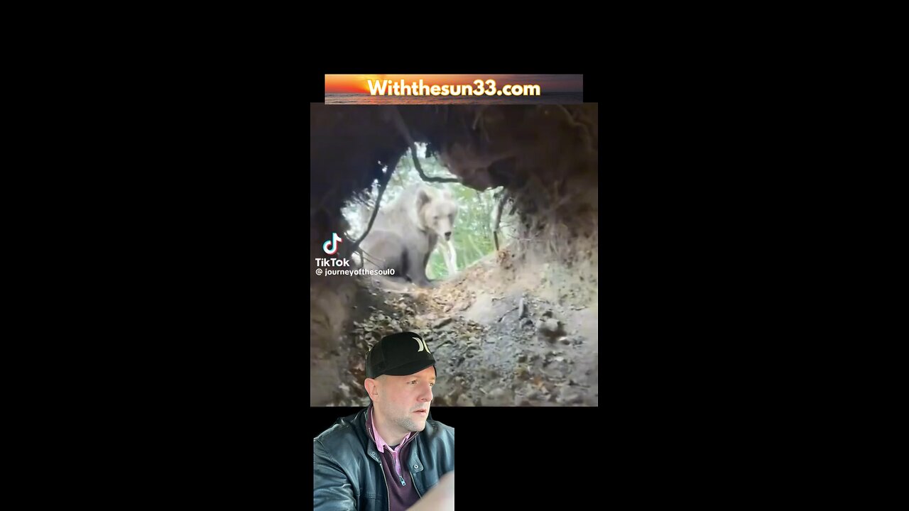 Dude goes into beer cave and bear comes home pissed