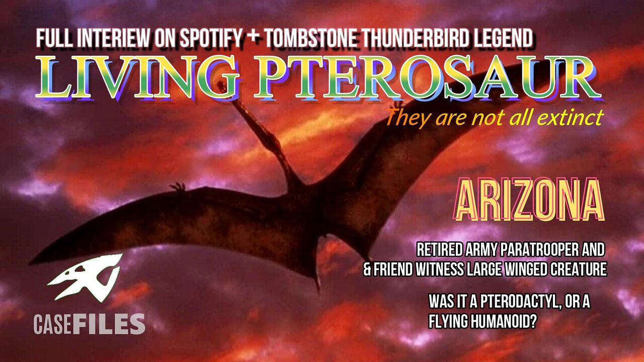 "Thunderbird Returns? Eyewitness Account from the Arizona Skies" Ropen Network