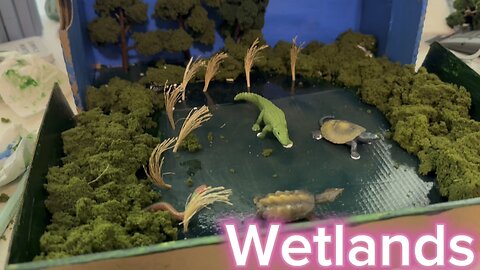 Wetlands Biome Diorama Project