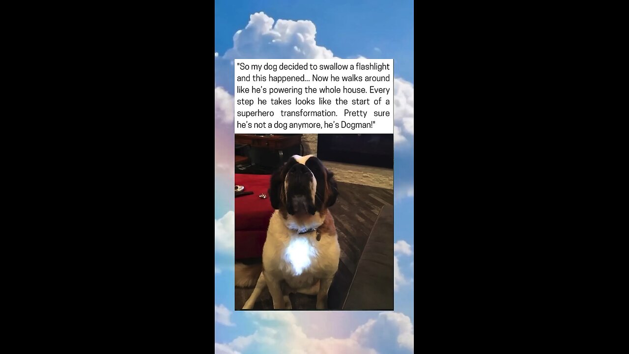 Dog Swallows Flashlight