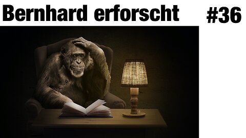 Was wir von Schimpansen und Bonobos über uns selbst lernen können