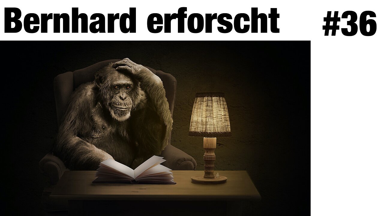Was wir von Schimpansen und Bonobos über uns selbst lernen können