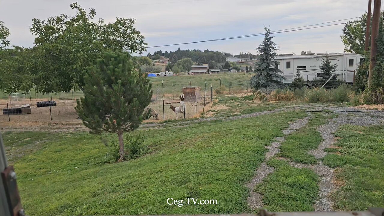 Graham Family Farm NW: Rain - 9:00 AM July 31 2025