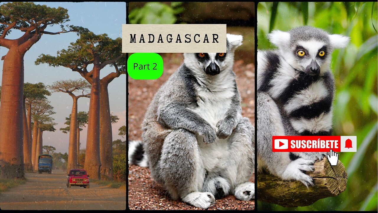 Inside Madagascar: The Island of Strange Creatures and Sacred Lands