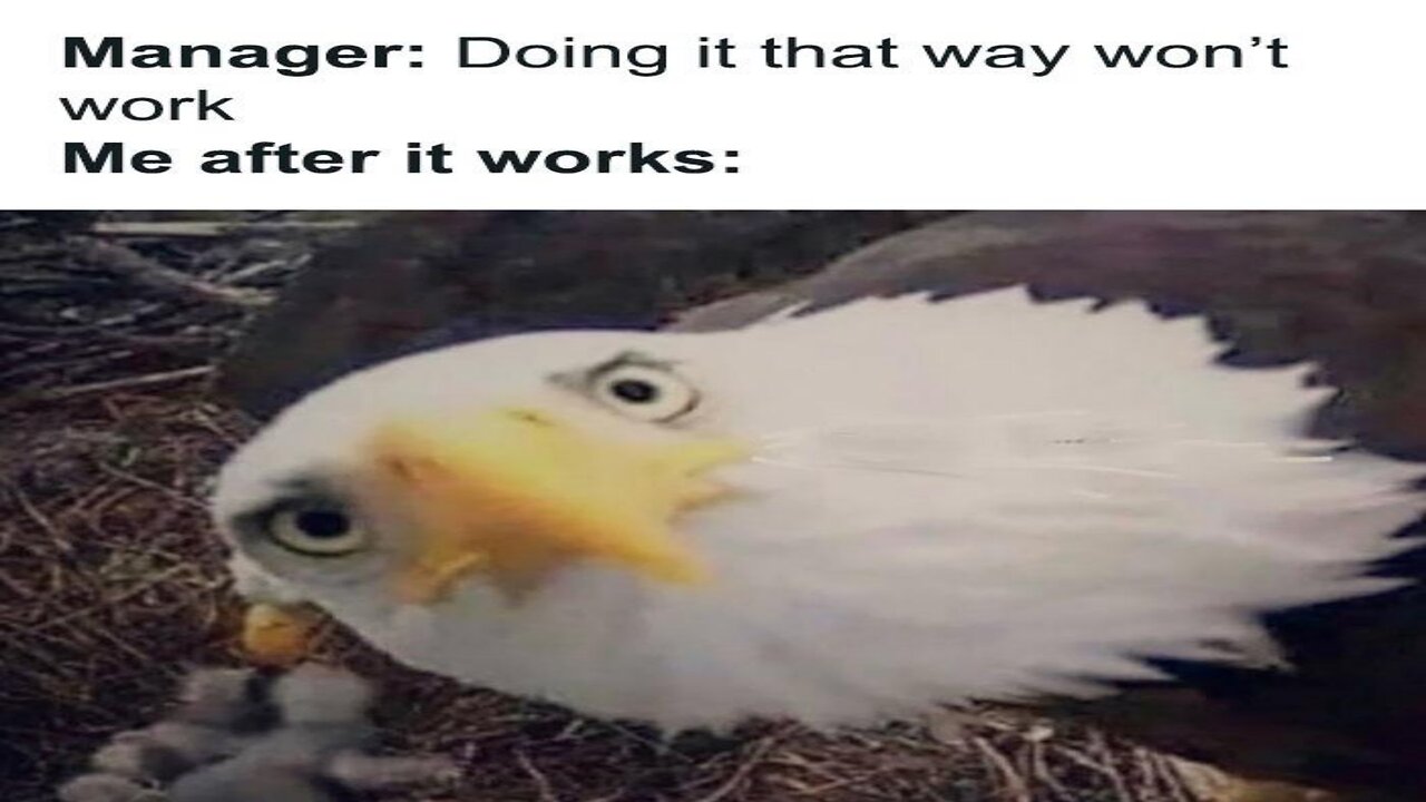 FUNNY WORK MEMES That Will Stop You From Punching Your Boss