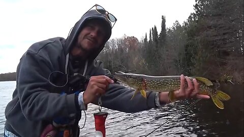 LETS MASTER BAIT AND CATCH FISH IRL!