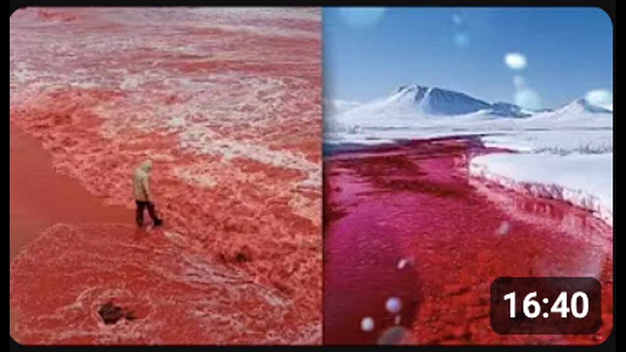 "End Times Indications: 'Blood Rain' Phenomenon & Red Rivers and Oceans"
