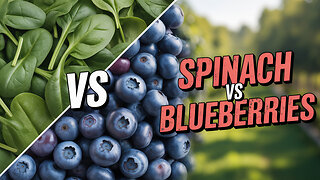 Grow Your Own Superfoods: The Best Choices for You