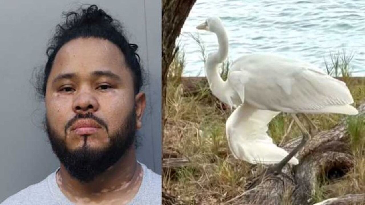 Feather Foul: Illegal Immigrant Clips Protected Bird In Florida, Earns One-Way Ticket To Deportation