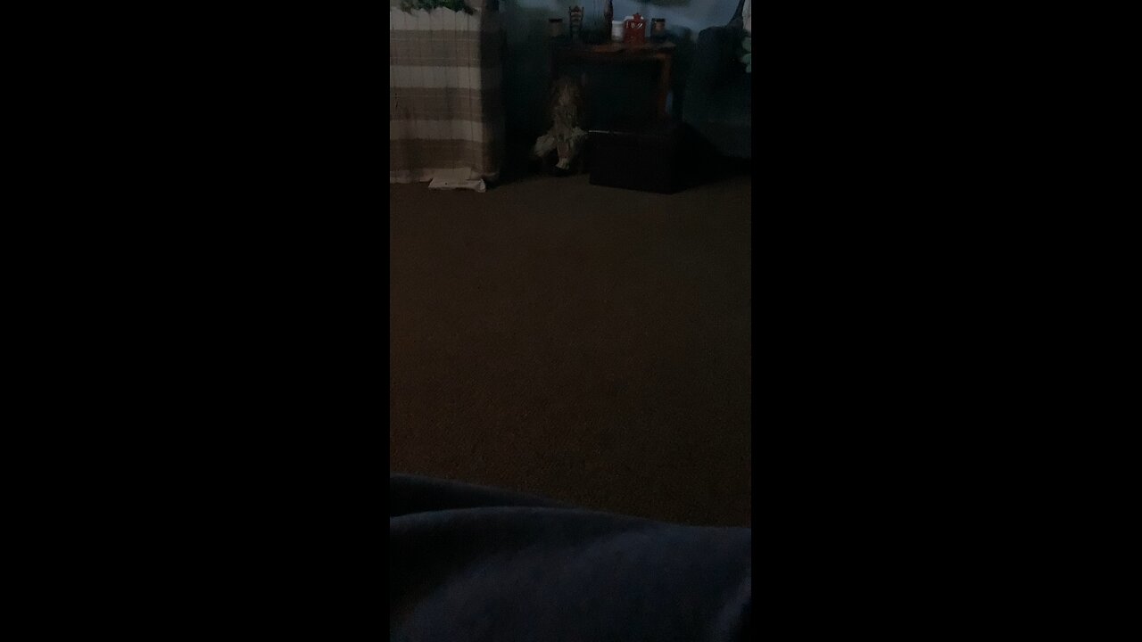 Weirdo