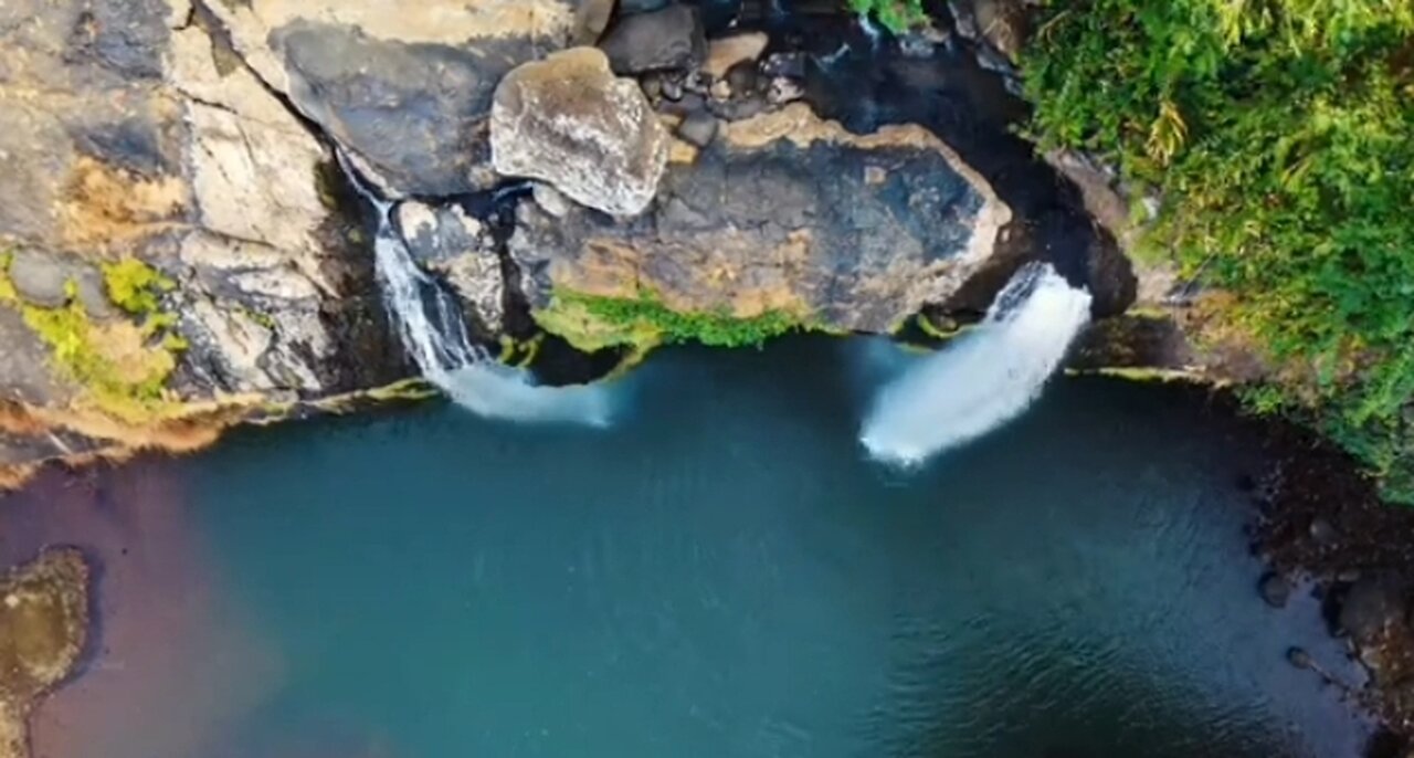 nature video #samar 💐