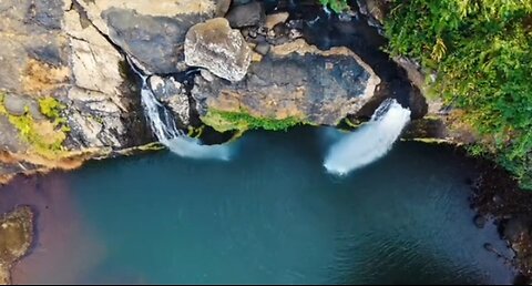 nature video #samar 💐