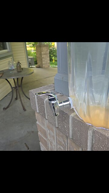 Plants For Goth Ma'am