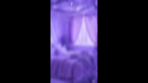choose your dreams here