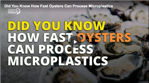 "Oyster's Microplastic Processing Speed"