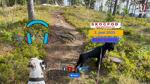 Skogpod 2. juni 2025