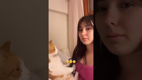 Funny Animals #funnyanimals #animalsfunny #pets #shorts