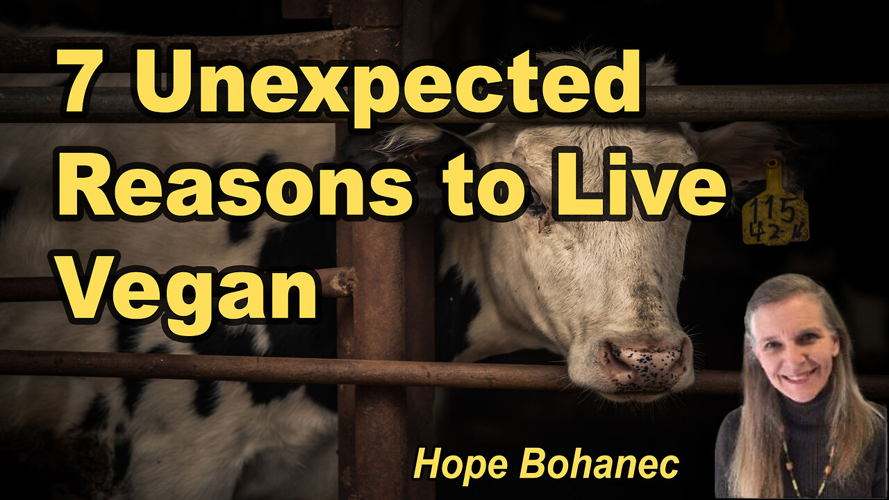 7 Reason to Live Vegan (That You May Not Have Thought Of)
