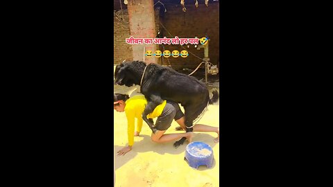 ek bar dal dega to 18 Mahina chal nahin payega