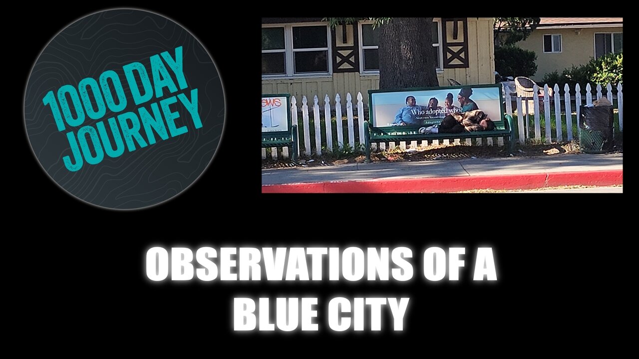 1000 Day Journey 0873 Observations of a Blue City
