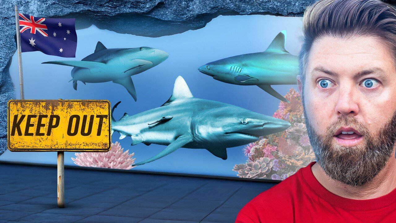 Private Tour of Australia’s Best Aquarium