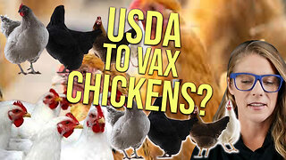 USDA plans to mass vax poultry?