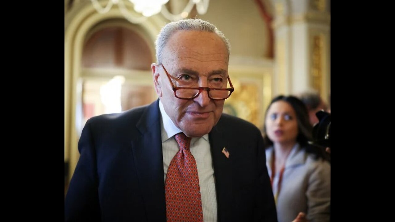 Chuck Schumer Slams Trump's Remarks on Constitution