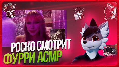 🐺 Роско смотрит Pipirka - асмр превращаю тебя в фурри