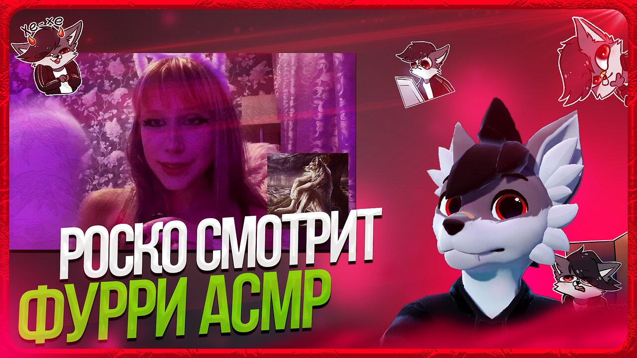 🐺 Роско смотрит Pipirka - асмр превращаю тебя в фурри