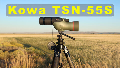 Kowa TSN-55S Review: Long-Term Field Test & Low Light Performance