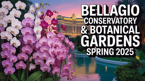 Bellagio Botanical Gardens Spring 2025 Display