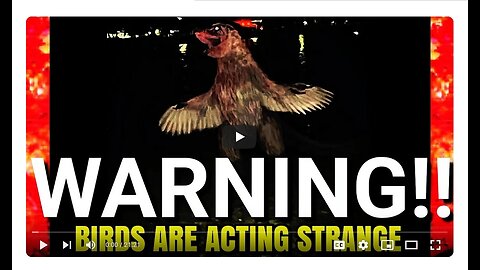 Creepy Videos, Strange and Odd News Stories That Greatly Disturb Me! - Seconds Of Horror