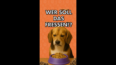 Insektenproteine - Kein Hund sollte so etwas fressen