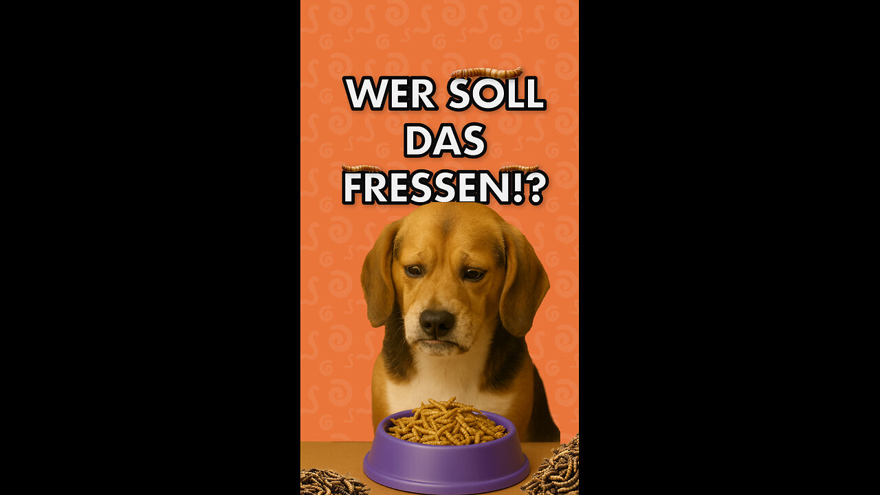Insektenproteine - Kein Hund sollte so etwas fressen