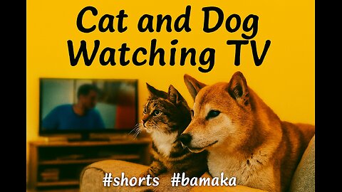 Cat and Dog Watching TV