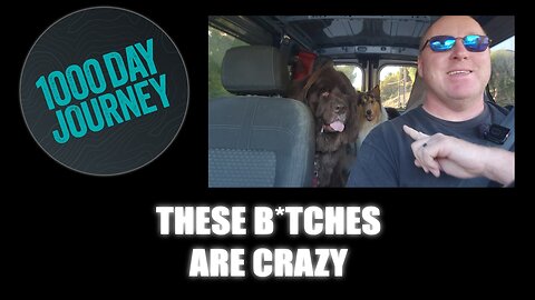 1000 Day Journey 0782 These B*tches are crazy 