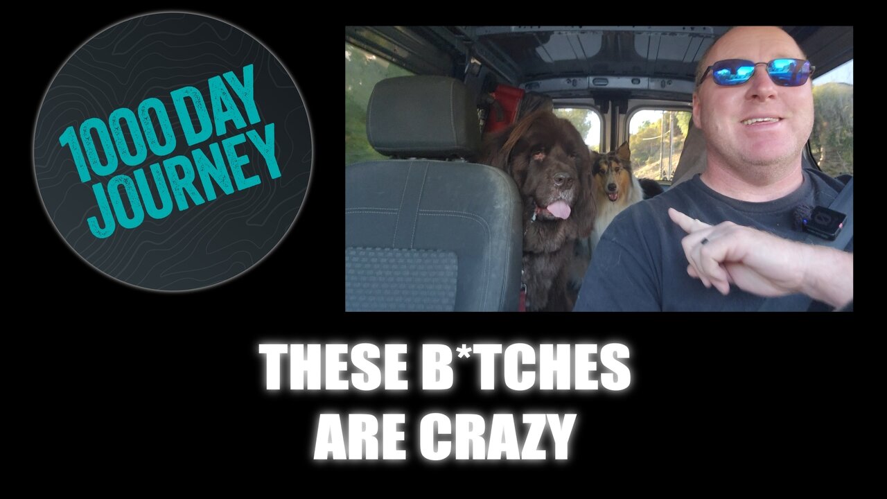 1000 Day Journey 0782 These B*tches are crazy