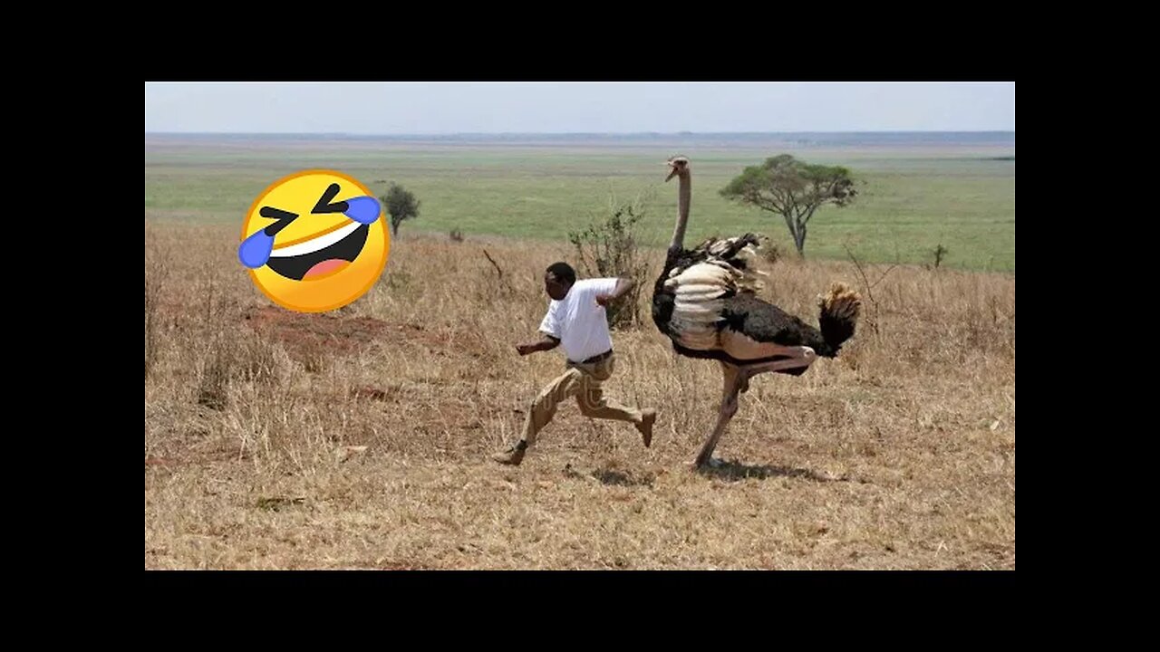 😂 Ultimate Funny Fails Compilation 2025 | Try Not to Laugh Challenge!