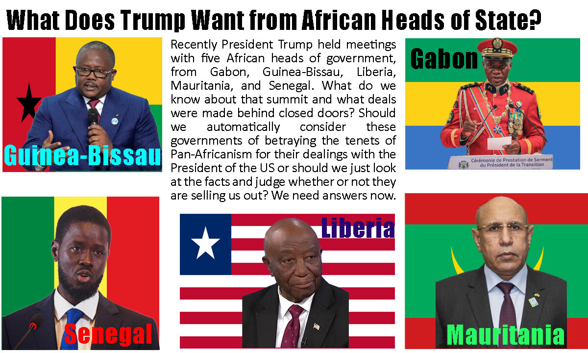 What Does Trump Want from African Heads of State? 2025
