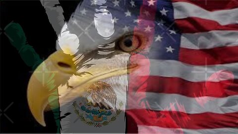 Immigration Raids and Riots