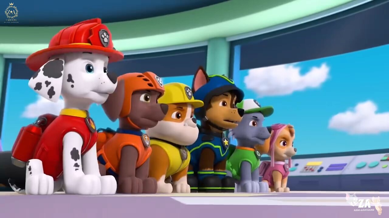 PAW Patrol Cartoons
