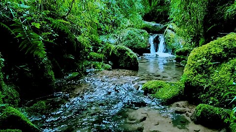 Segar banget airnya jernih bisa langsung di minum