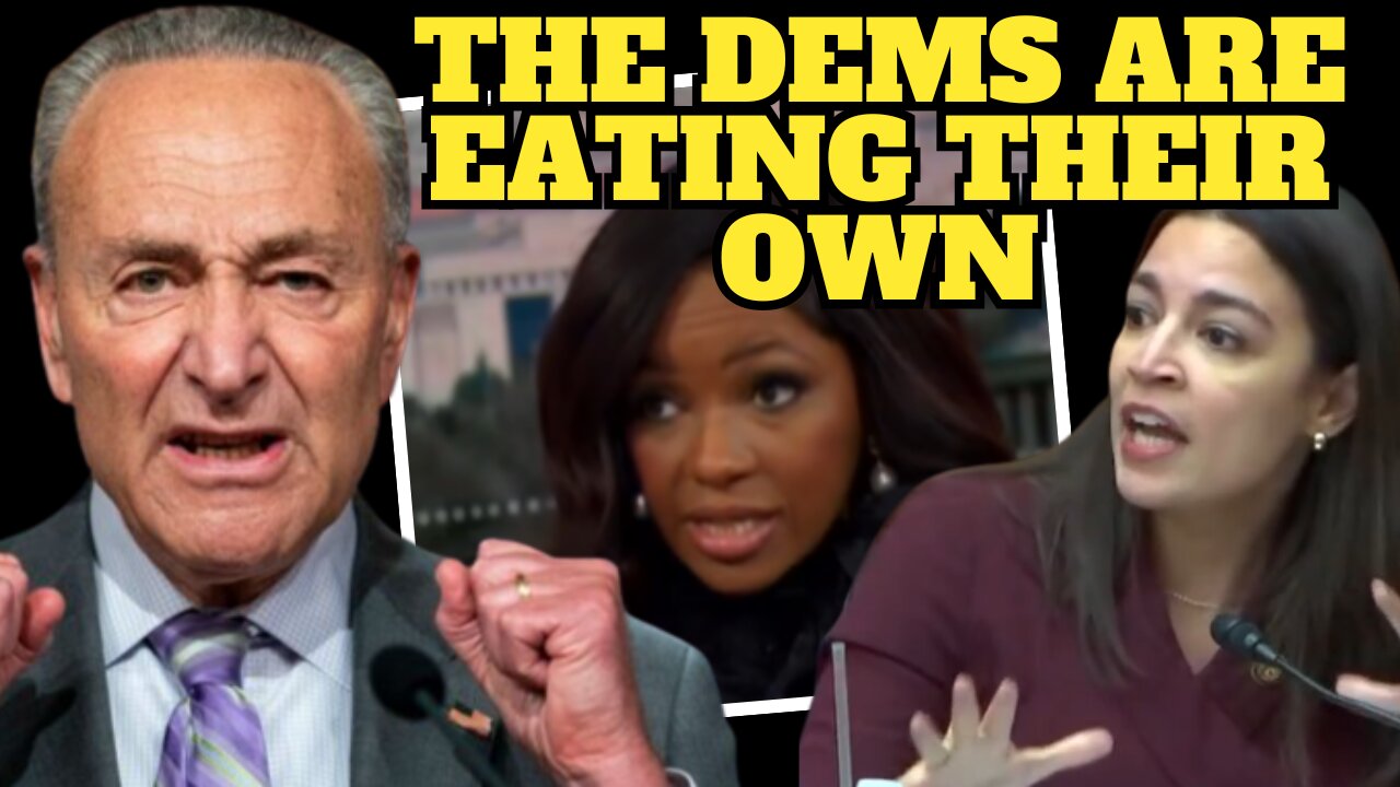 There are Calls for AOC to Primary Chuck Schumer