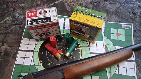 What is the best 16 gauge squirrel load?