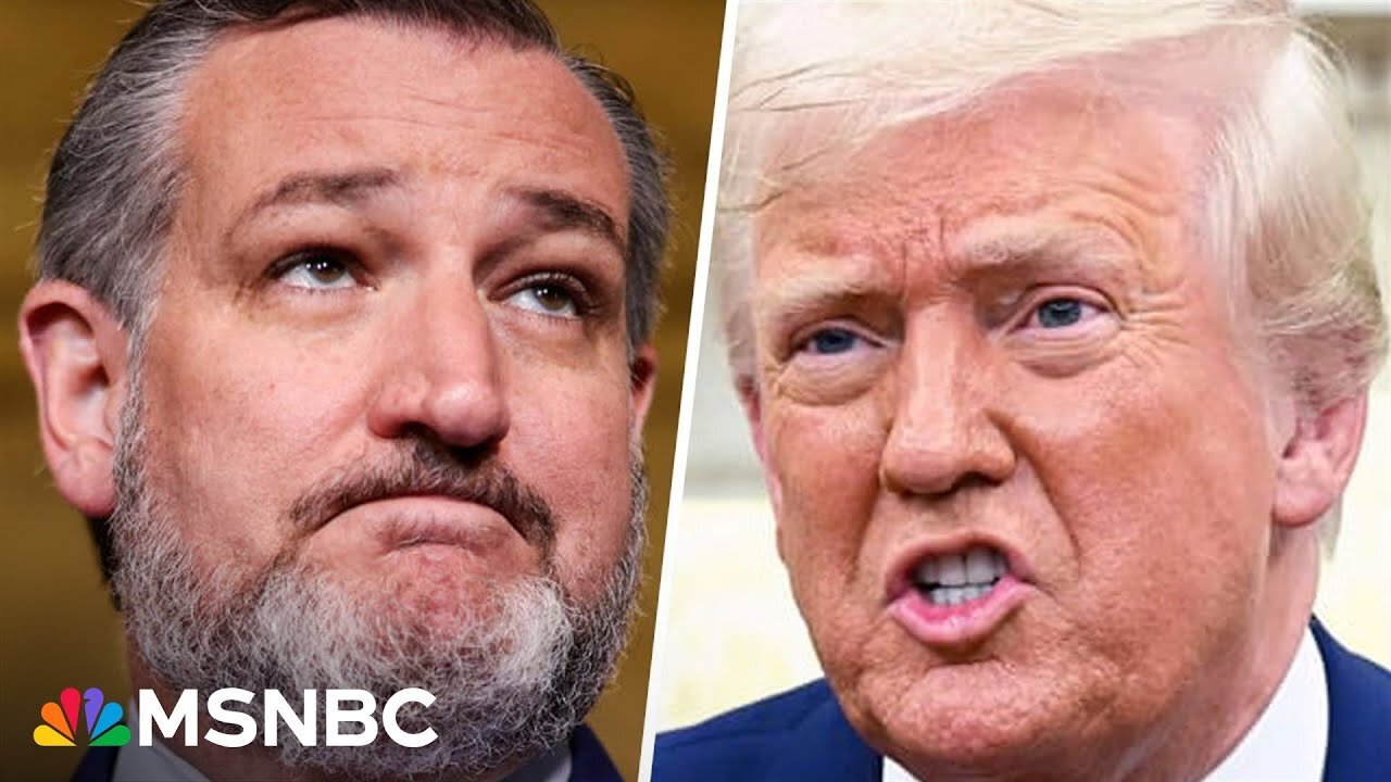 ‘Disastrous for the American economy’: Cracks in GOP support for Trump tariffs